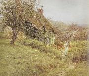 Helen Allingham,RWS South Country Cottage (mk46) oil painting picture wholesale